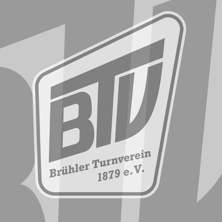 BTV-Logo NEU Platzhalter 4zu3